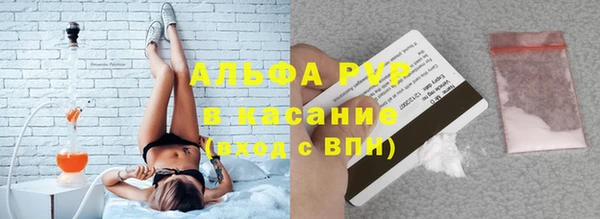 стафф Алексин