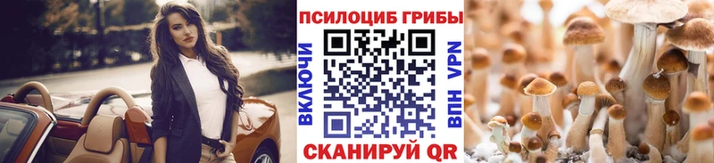 Галлюциногенные грибы ЛСД  маркетплейс телеграм  Новочеркасск  где купить наркотик 