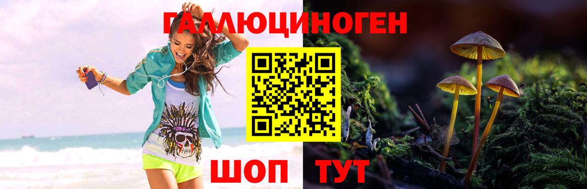 Новочеркасск  Псилоцибиновые грибы GOLDEN TEACHER  Вход с VPN  Галлюциногенные грибы Psilocybine cubensis 